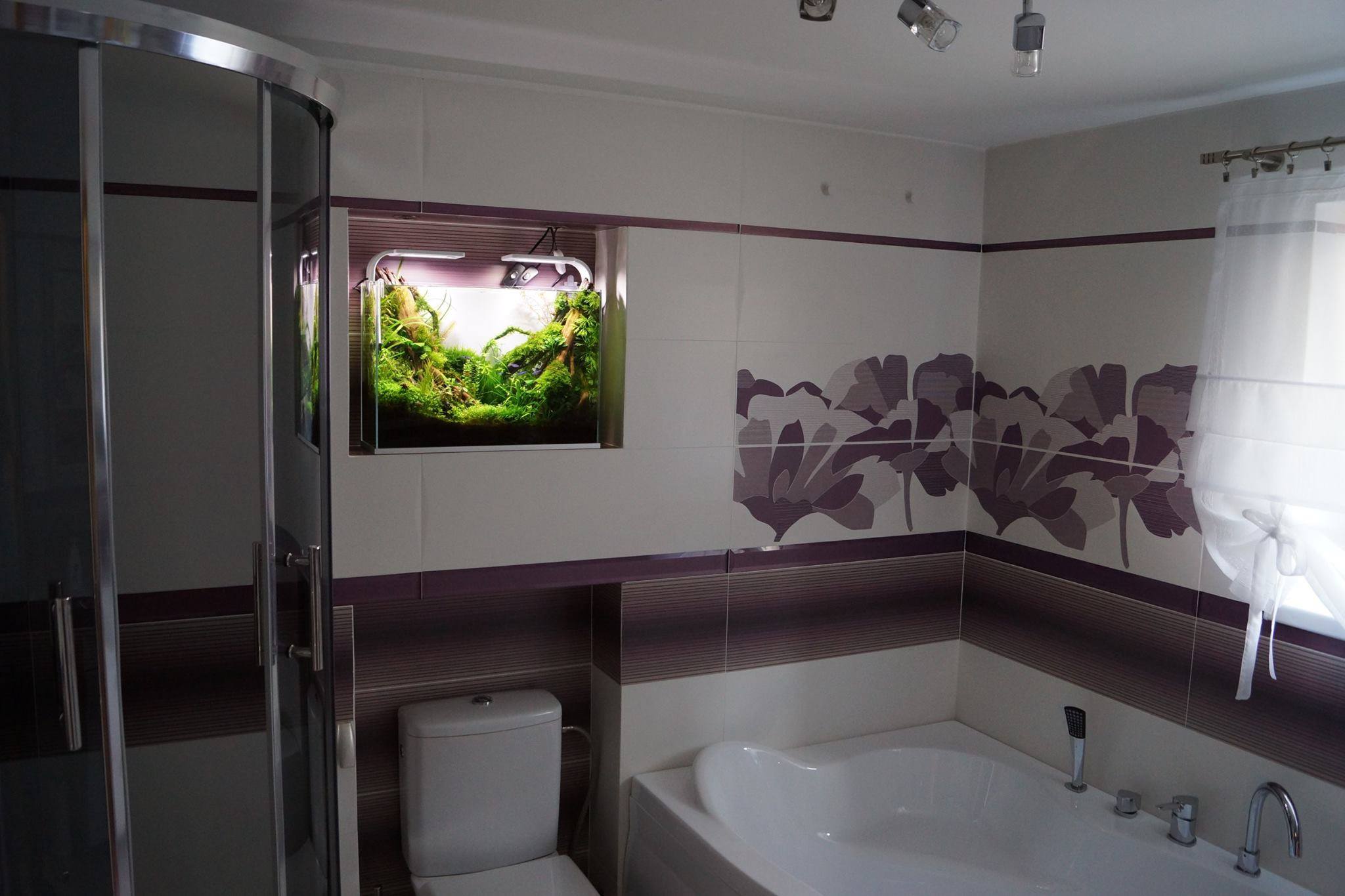 colocar un acuario en el baño - Acuarios Plantados