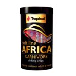 africa_carnivore_tropical.jpg