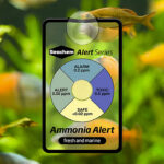ammonia_alert_seachem2.jpg