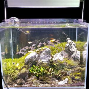 LED Full Spectro Aqualumina - Image 10