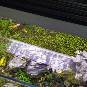 LED Full Spectro Aqualumina - Image 9