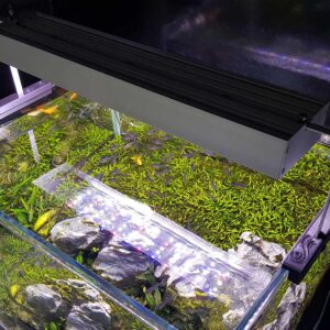 LED Full Spectro Aqualumina - Image 7