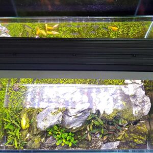 LED Full Spectro Aqualumina - Image 8