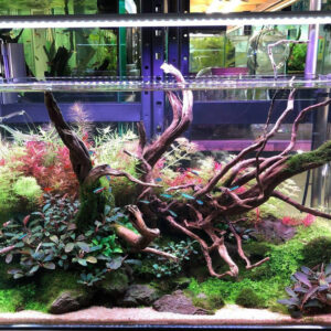 Chihiros LED RGB Plus 120cm - Image 4