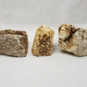 Roca piel de Elefante - Image 3