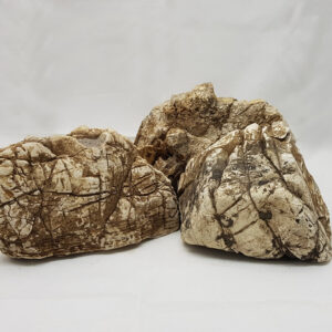 Roca piel de Elefante - Image 5