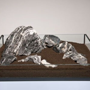 Roca Leopard Amano - Image 3