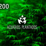 p-1996-tarjeta_regalo_200_acuarios_plantados.png