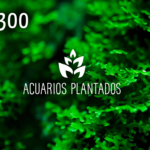 p-1998-tarjeta_regalo_300_acuarios_plantados.png