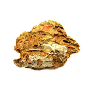 Roca Alveolada "Dragon" - Image 5