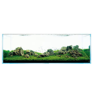 Roca Amano - Image 4