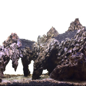 Roca Alveolada "Dragon" - Image 6