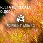tarjeta_regalo_10000_acuarios_plantados.jpg