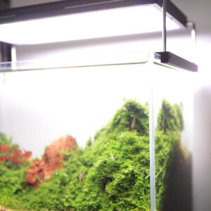 Chihiros WRGB 45cm - Image 6