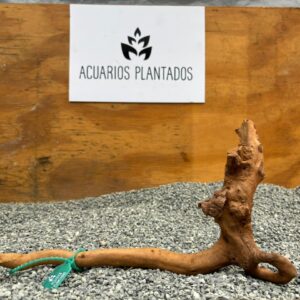 Raiz Azalea 1003 X 142 g