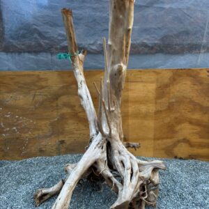 Raiz Azalea x 7.5 Kg