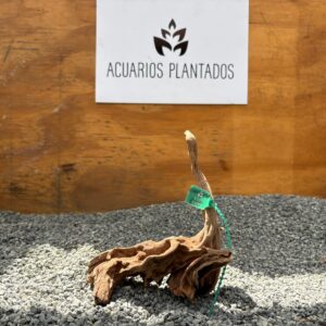 Black Forest Spiderwood 1001 x 151 g