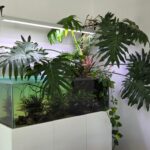 LED Full Spectro Aqualumina