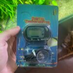 Termometro digital con sonda