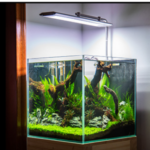 WEEKAQUA M Series Pendant style RGB+UV 90 CMS - Image 4