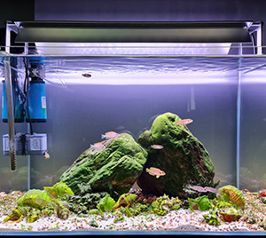 WEEKAQUA M Series Pendant style RGB+UV 90 CMS - Image 3