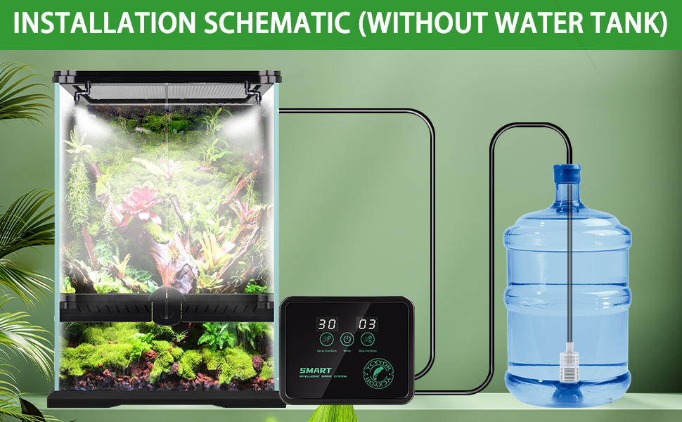 5572e803-7e01-46f5-8b65-aa245f9f53d4.__CR0,0,970,600_PT0_SX970_V1___