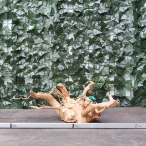 Raiz azalea x 1,100gr