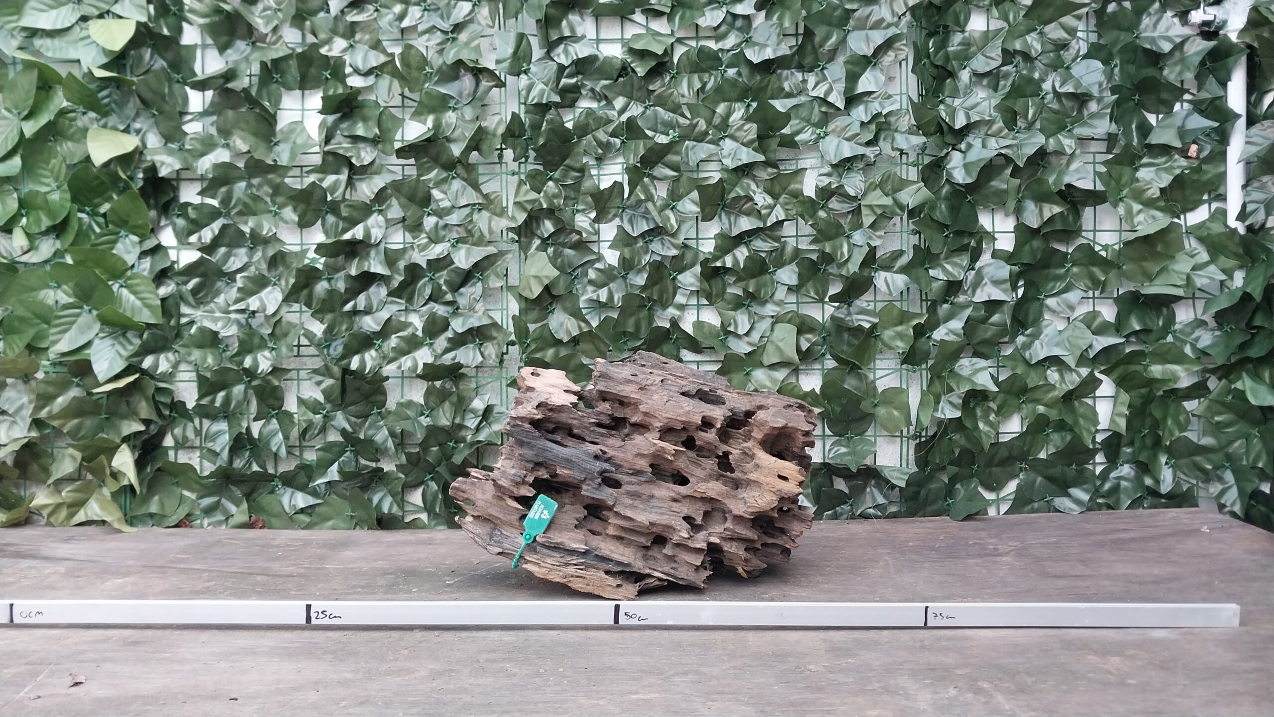 Dragon Wood x 2,688 gr