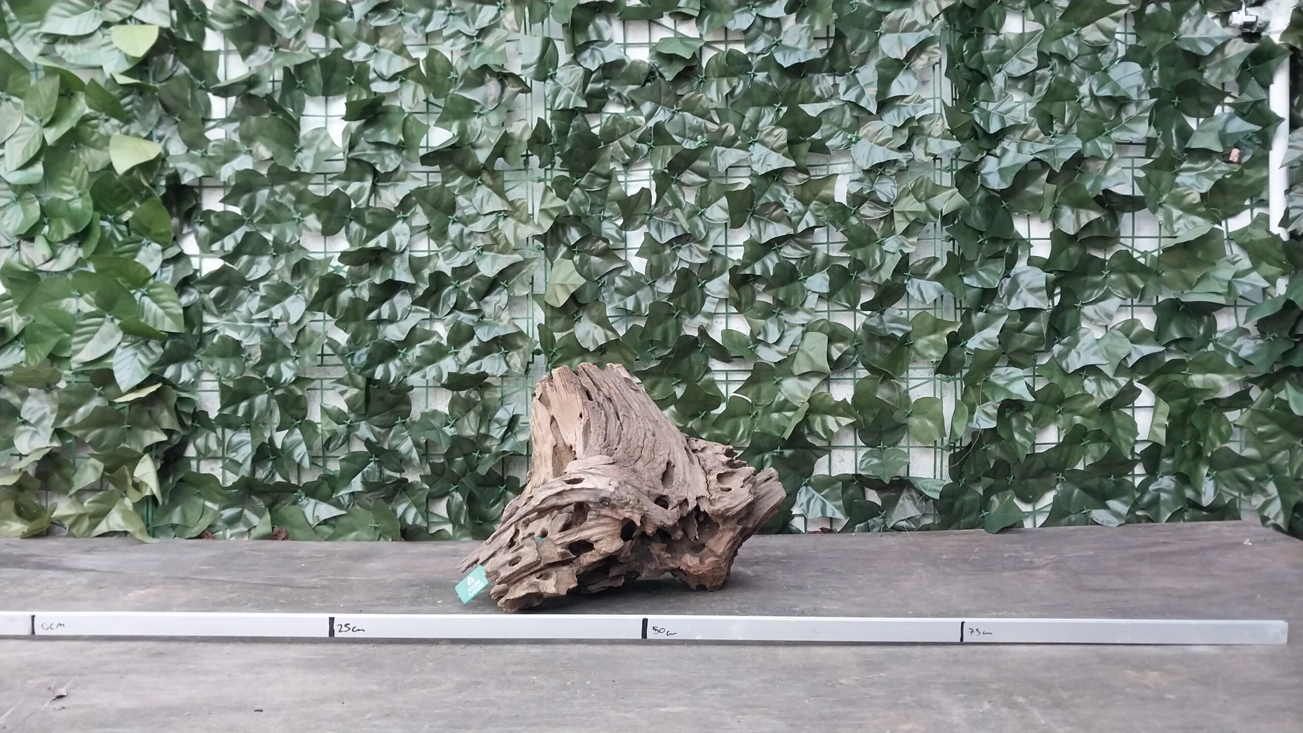 Dragon Wood x 1,863gr