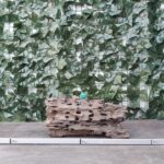 Dragon Wood x 1,874gr