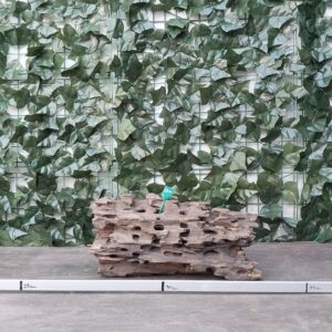 Dragon Wood x 1,874gr