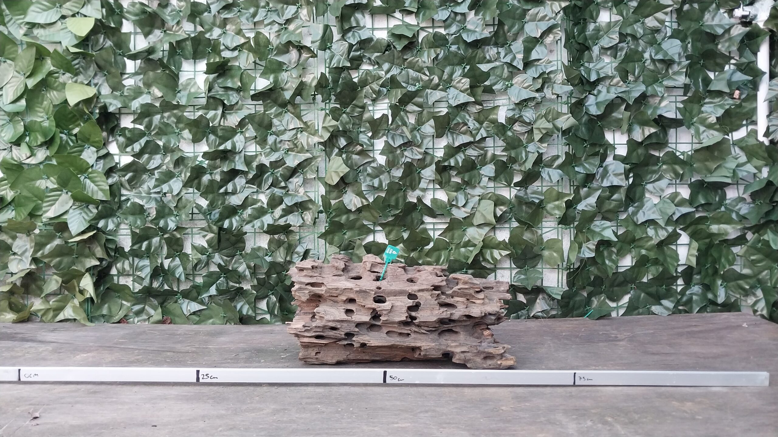 Dragon Wood x 1,874gr