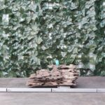 Dragon Wood x 1,370gr