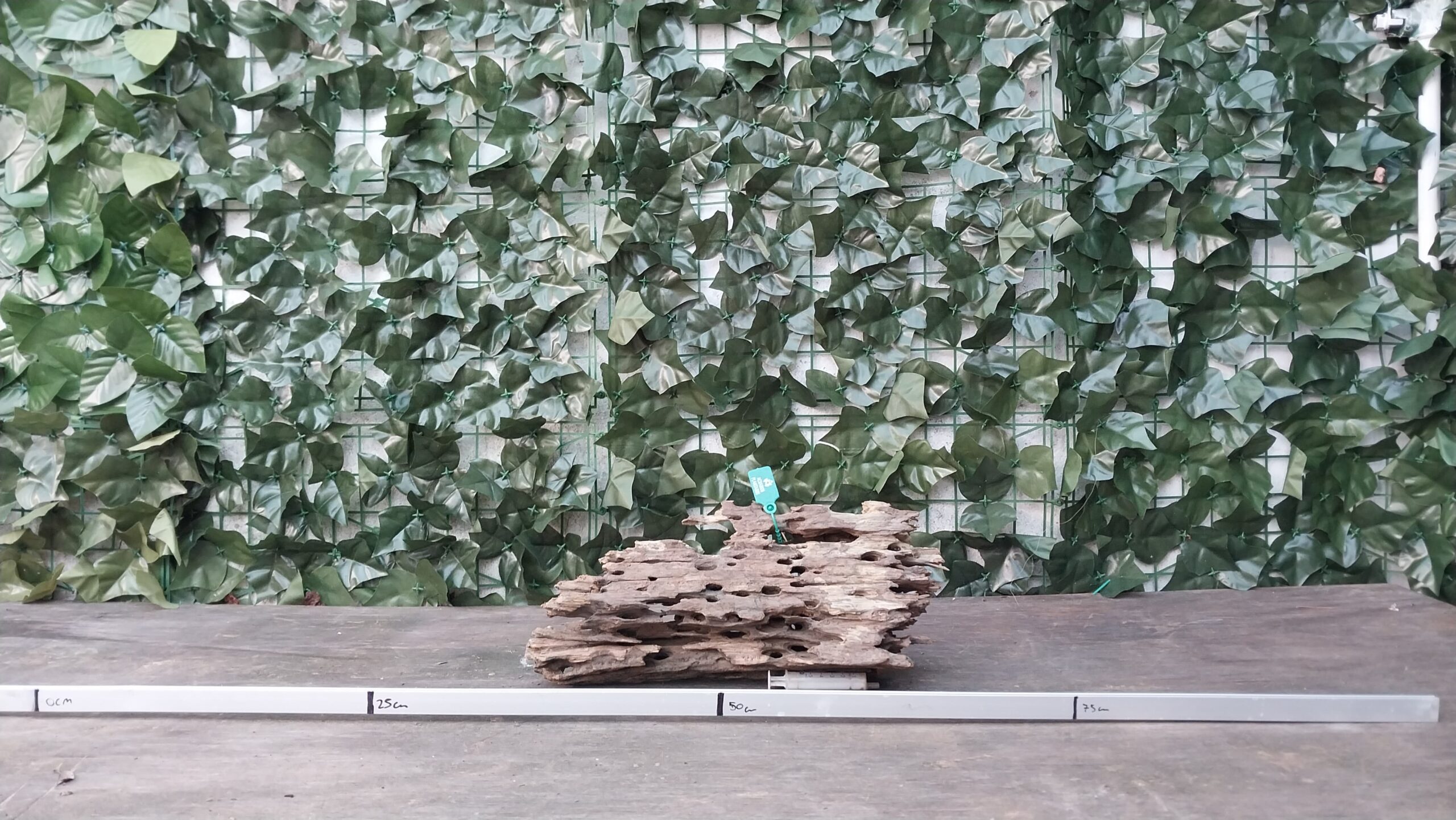 Dragon Wood x 1,370gr