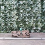 Dragon Wood x 1000gr