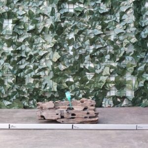 Dragon Wood x 1000gr