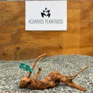 Raiz azalea 1004 x 95gr