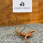 Raiz azalea 1005 x 75gr