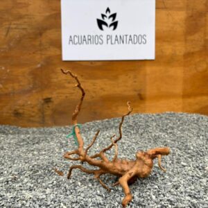 Raiz azalea 1005 x 75gr