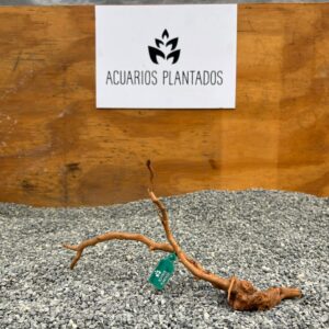 Raiz azalea 1006 x 46gr