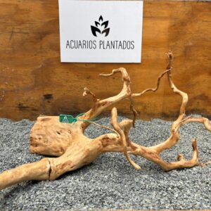 Raiz azalea 1010 x 997 gr