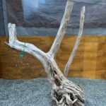 Raiz azalea 1010 x 3.8 Kg