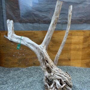 Raiz azalea x 3.8 Kg