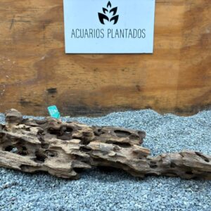 Dragon Wood x 1.050 kg - Image 1