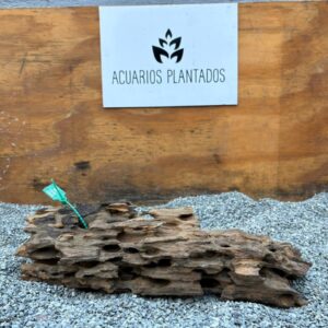 Dragon Wood x 382gr Dragon Wood x 382gr
