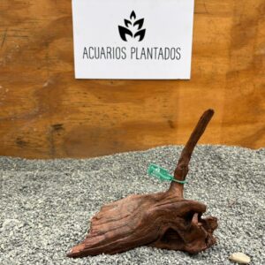 Red Drift Wood 1001 x 685gr