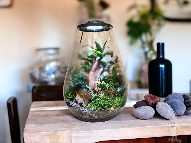 Bio Bowl Wabi Kusa con Luz y Timer