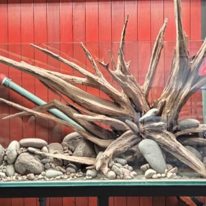 Piedra de Rio Nº2 - Image 4