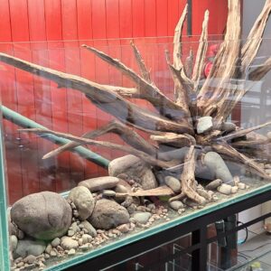 Piedra de Rio Nº2 - Image 3