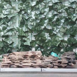 Dragon Wood x 1,14kg